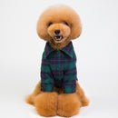 Camiseta Para Perro Verano Verde