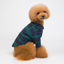 Camiseta Para Perro Verano Verde